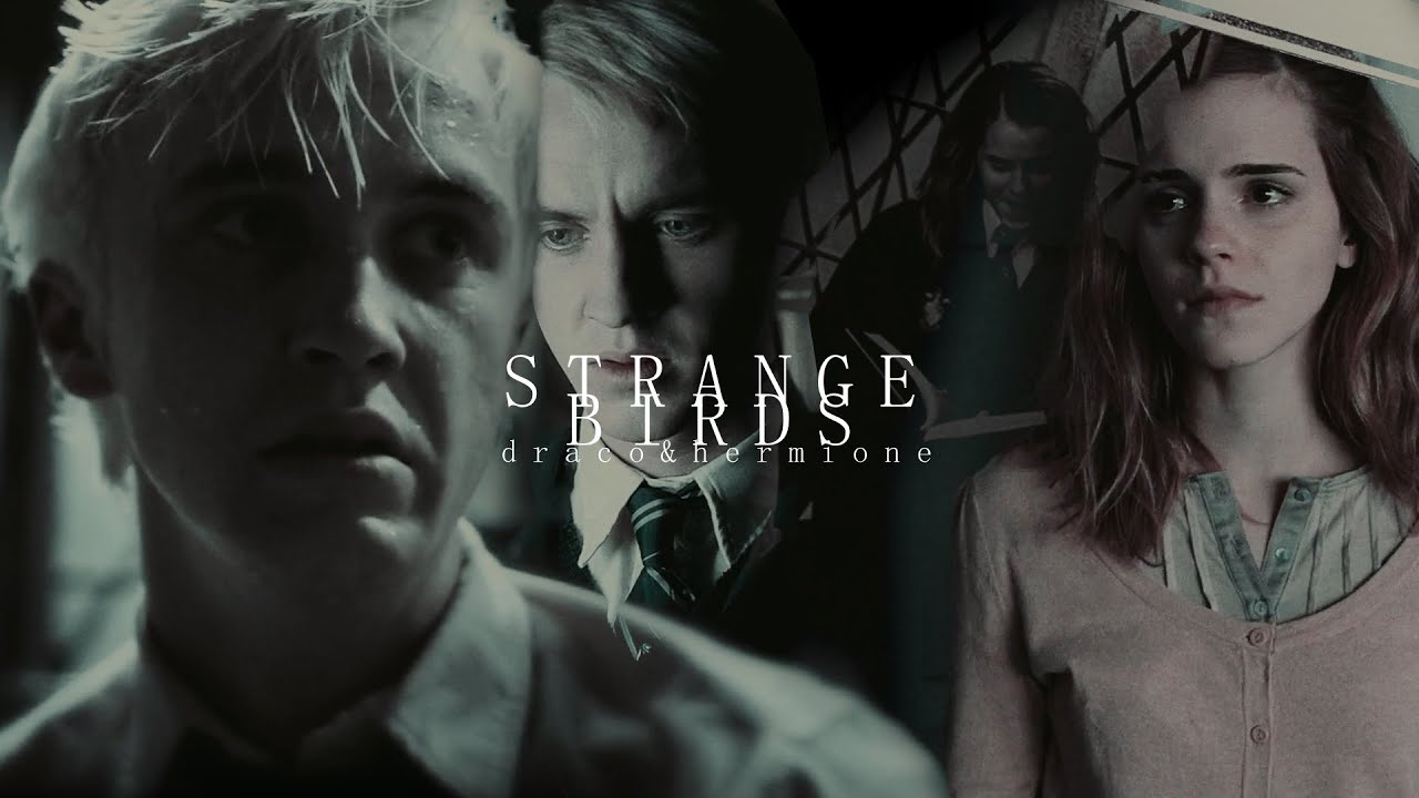 Strange Birds| Draco&Hermione