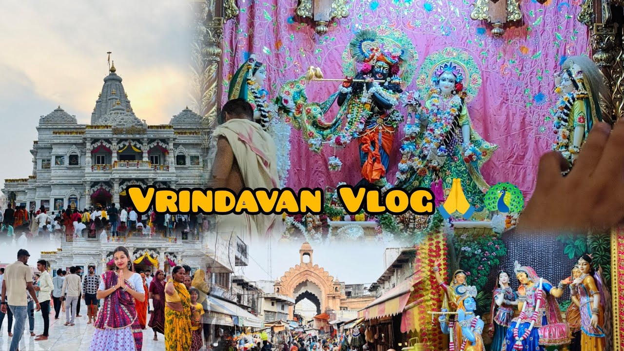 Vrindavan Vlog 🙏🦚| Vrindavan Darshan| Vrindavan Tour| Travel vlog pt- 3| Riya This Side|