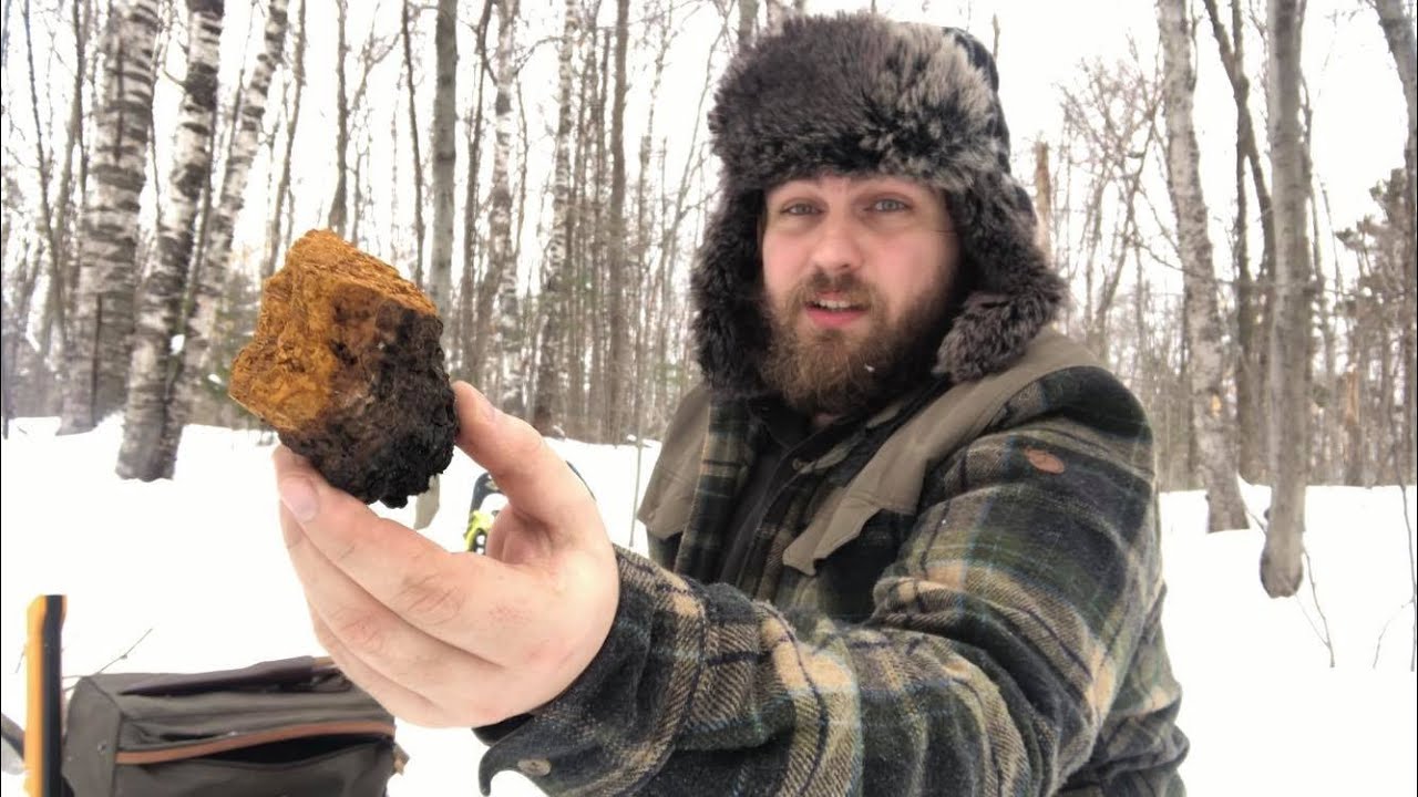 Bushcraft Qu&eacute;bec: Sortie En For&ecirc;t Et Th&eacute; De Chaga