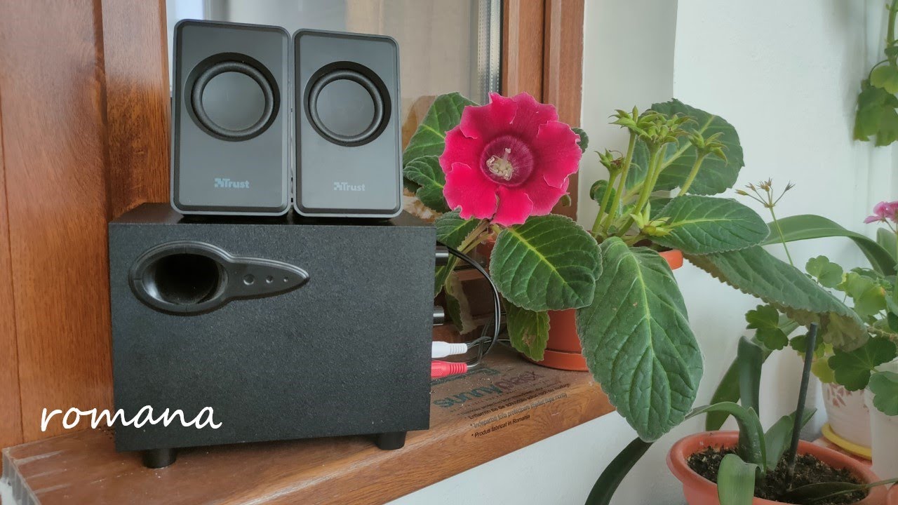 Romana Review Trust Avora 2.1 USB boxe cu subwoofer