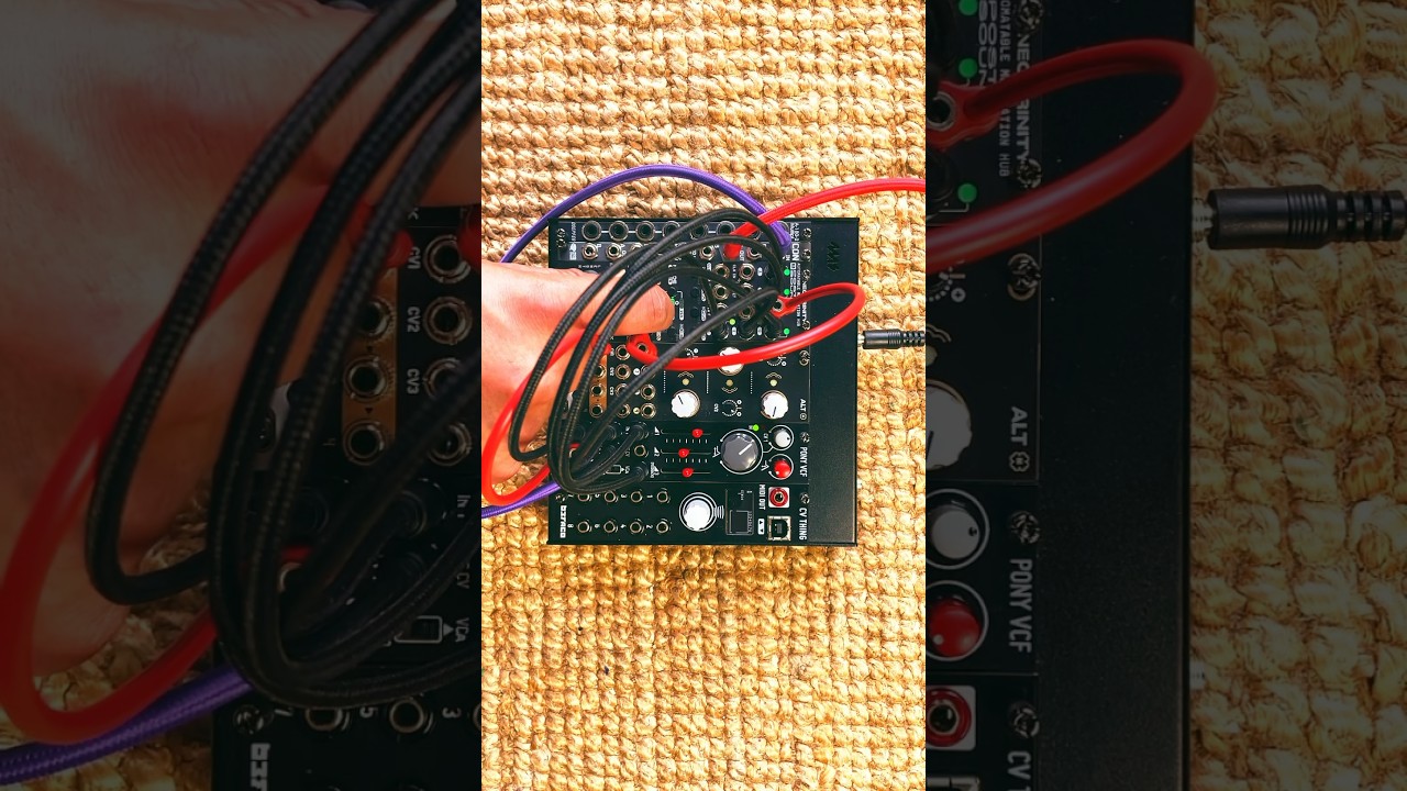 Finding rhythms using the Neo Trinity to sequence the Pony VCF #dawless