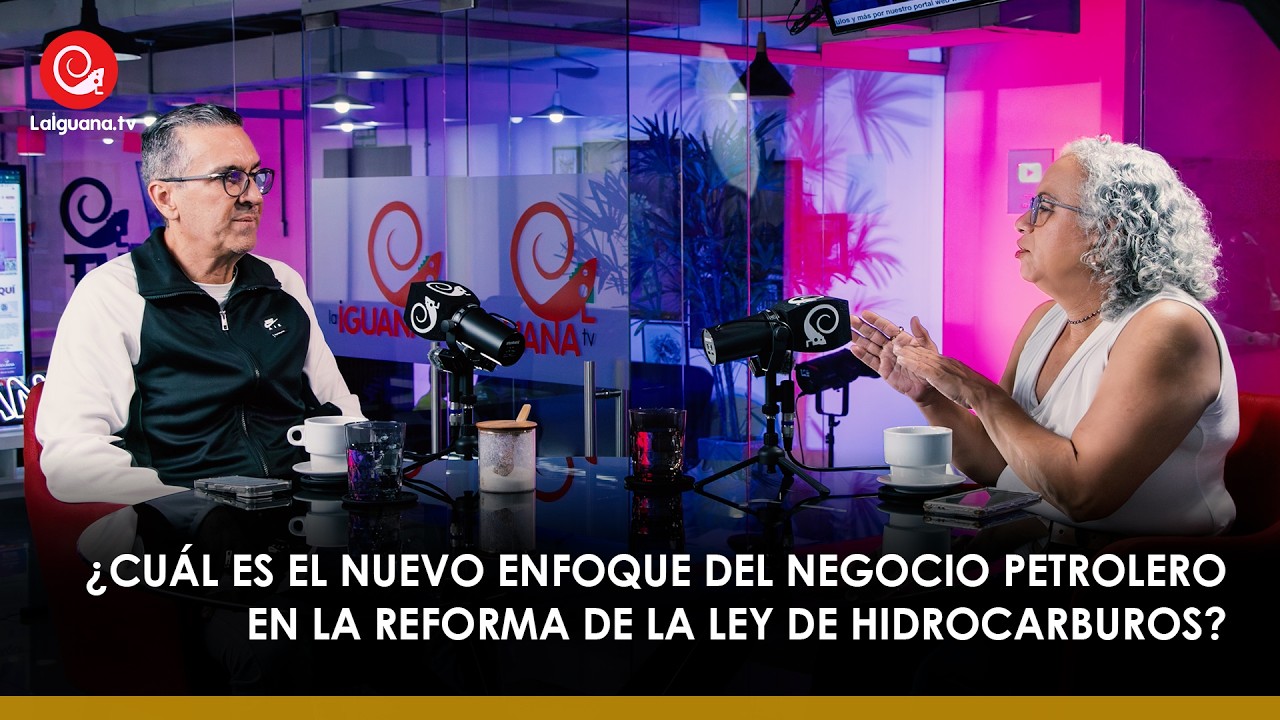 ¿Cuál es el nuevo enfoque del negocio petrolero en la reforma de la Ley de Hidrocarburos?