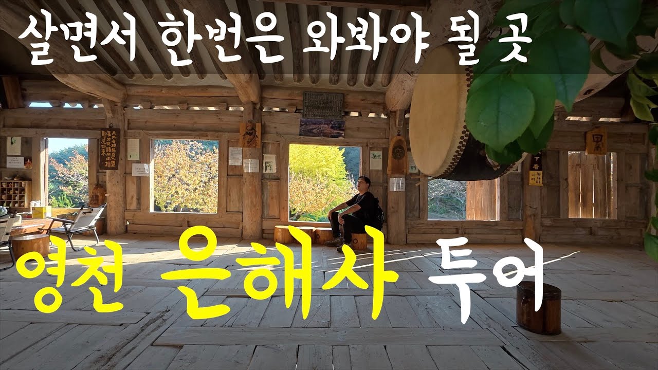 【영천 투어】 1300년된 느티나무 보고왔습니다. 