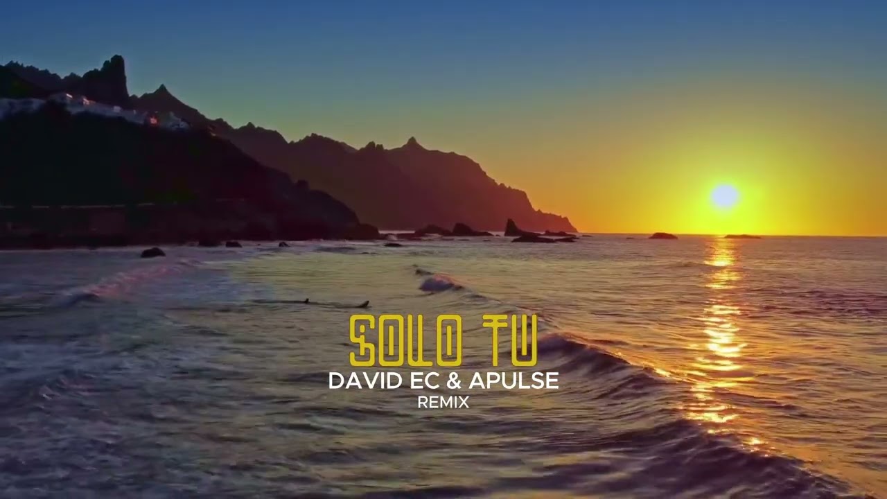 Zoni Ok - Solo T&uacute; (David Ec & APULSE Remix)