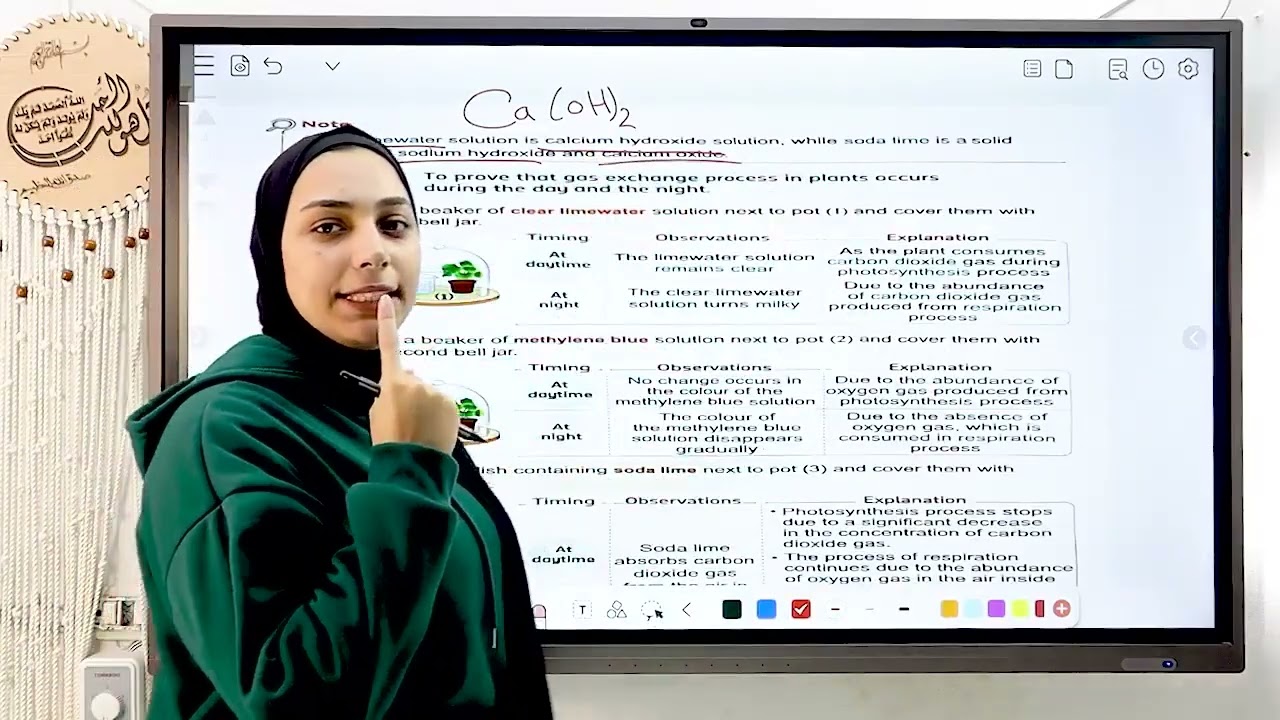 الدرس التاني الوحدة التالته الترم الاول - prep2 -term1 -unit 3 - lesson 2 - cellular Respiration 