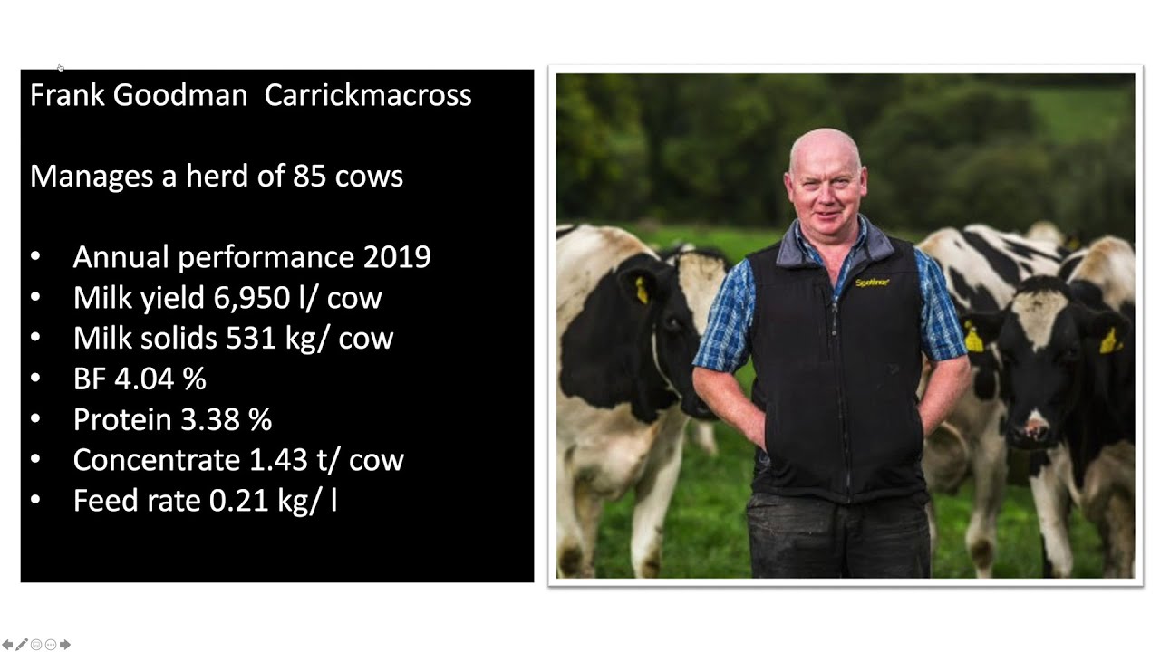 DairyLink farmer Frank Goodman discusses managing grass and heifer replacements.