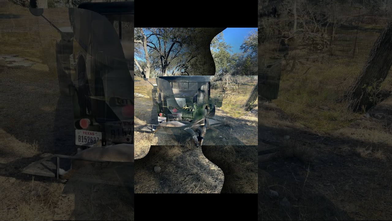 old Jeeps deer & Turkeys
