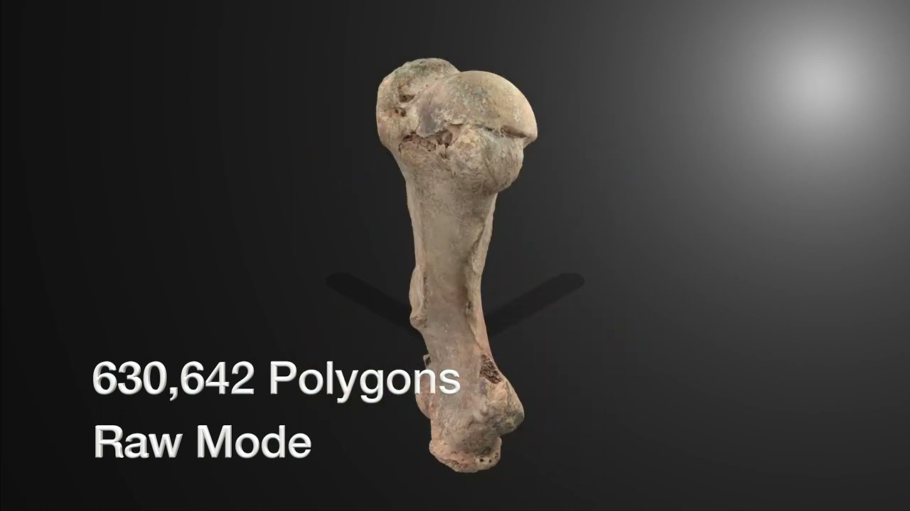 Photogrammetry Using Apple Object Capture