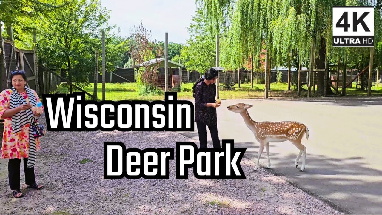 Wisconsin Deer Park - A Must Visit in Wisconsin Dells besides Water Parks