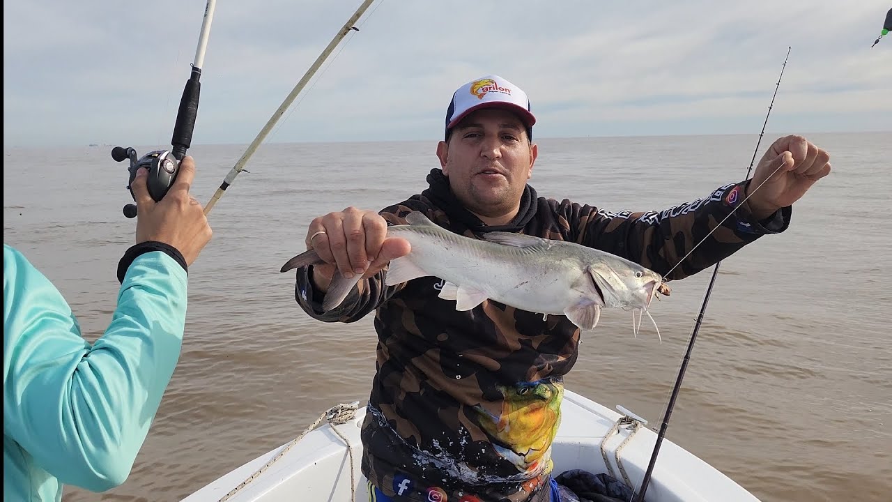 ARRANCO EL BAGRE DE MAR EN BERISO