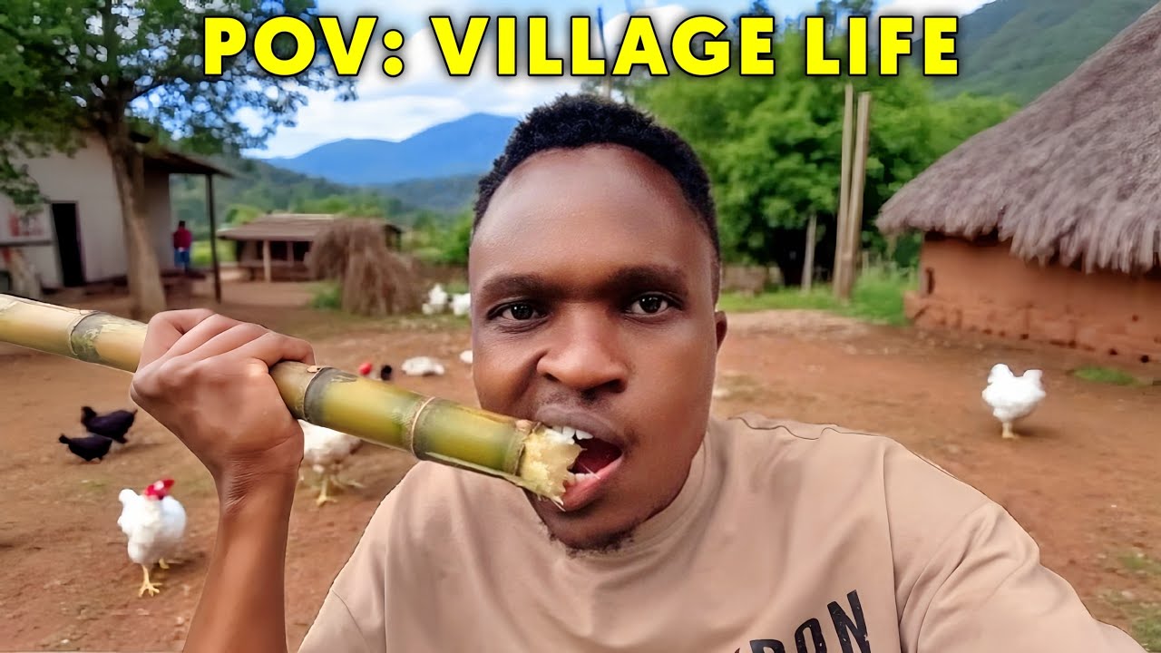 Getting Sugarcane Fresh From the Farm | Authentic Farm Experience