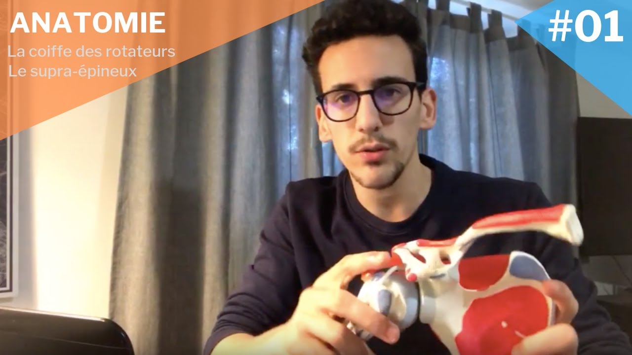 Myologie #01 : Le supra-épineux