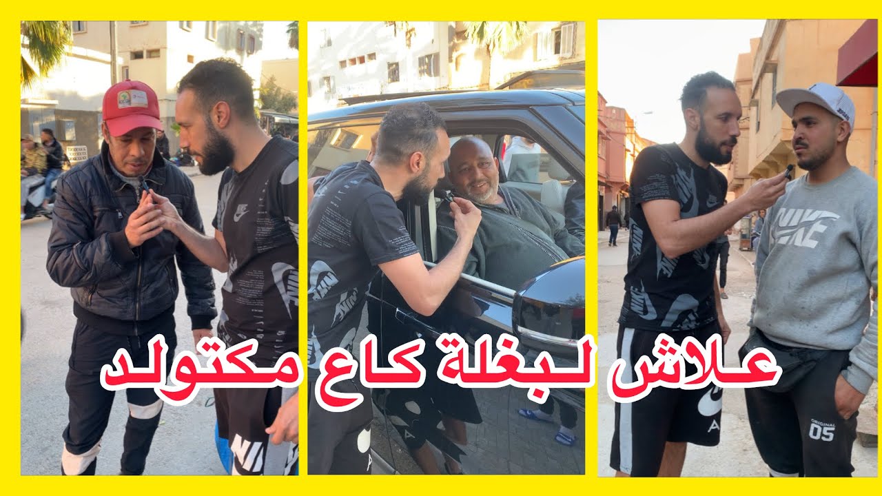 علاش لبغلة كاع مكتولد 🤔 شوفو أجوبة المغاربة