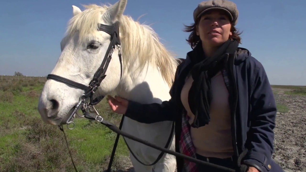 "1000 Km à Cheval" sur une selle Gaston Mercier avec Julie Raynaud et Equidia
