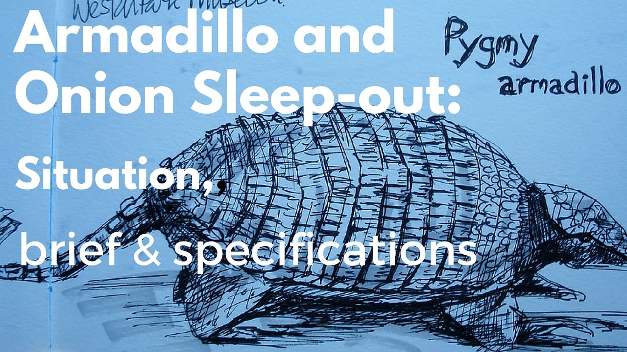 Armadillo and Onion inspired sustainable sleep-out: The situation, brief and specifications