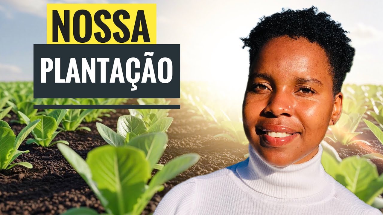 MINHA MÃE DEU-NOS UM ESPAÇO PRA NOSSA HORTA! 🇲🇿 @jacilioBila!