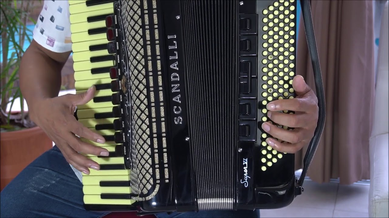 Vídeo Aula Acordeon - Meu Canivete.