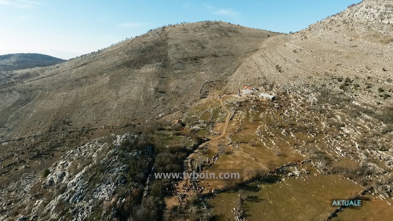AKTUALE - Blegtoria n&euml; Mal&euml;si