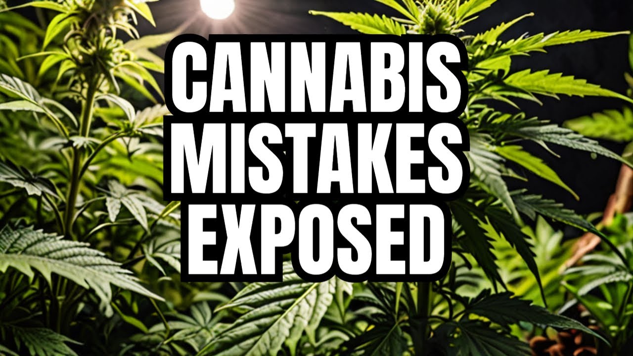 10 Common Mistakes Growing Cannabis &mdash; How to Avoid Them!