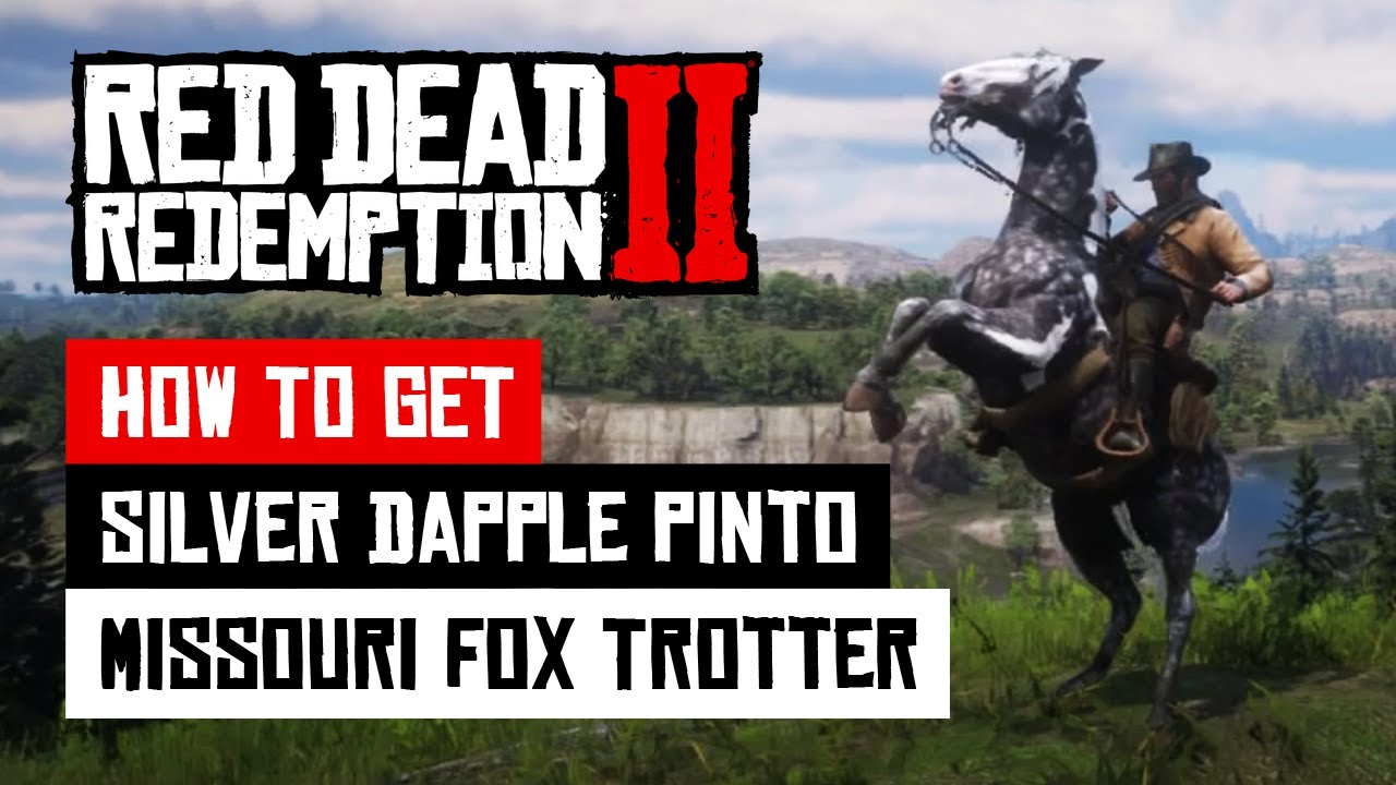 RDR2 - Get The Best Horse Silver Dapple Pinto (Missouri Fox Trotter) Still Working 2025!