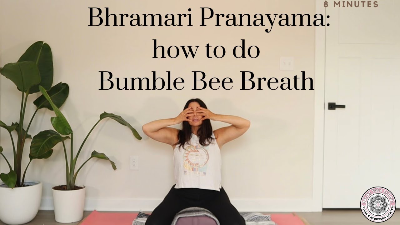 Bhramari Pranayama - How to do Bumble Bee Breath - Online Yoga School