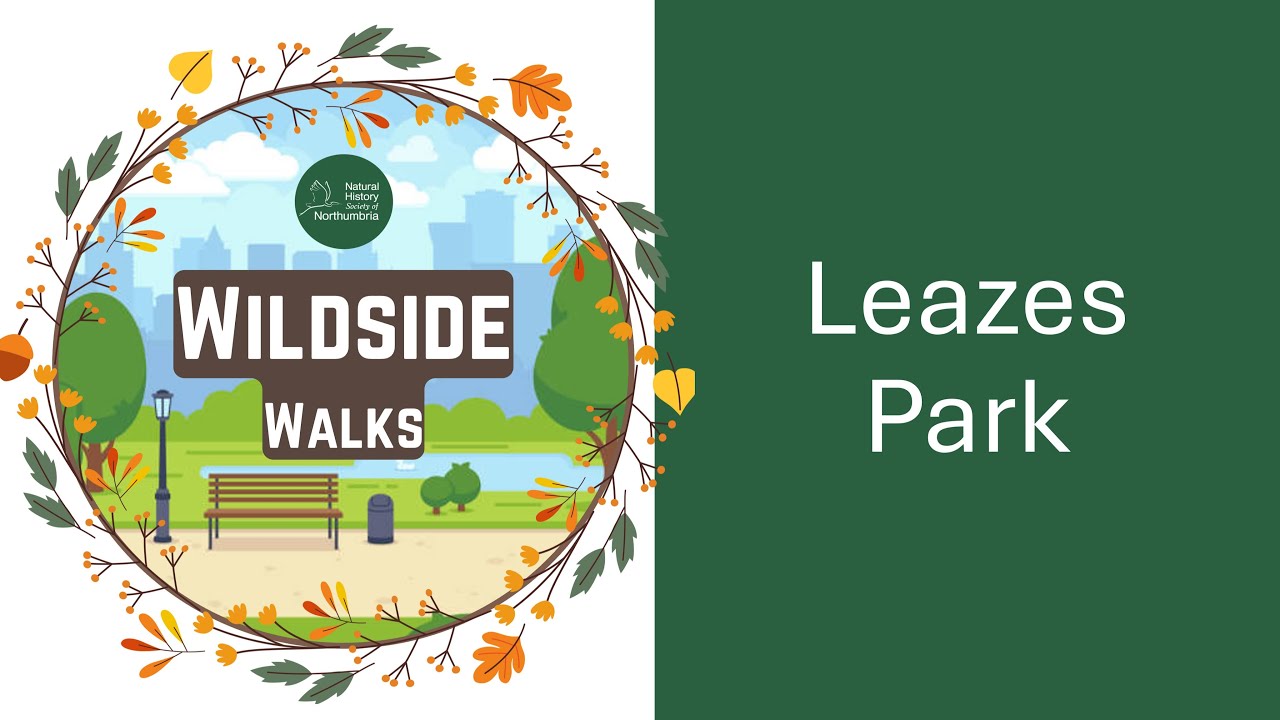 Wildside Walks E14:  Leazes Park