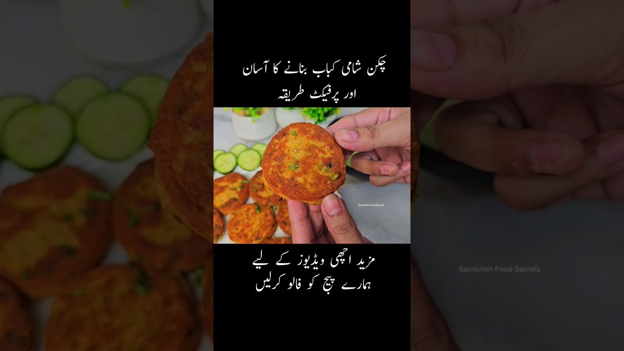 Chicken Shami Kabab Recipe 😋 