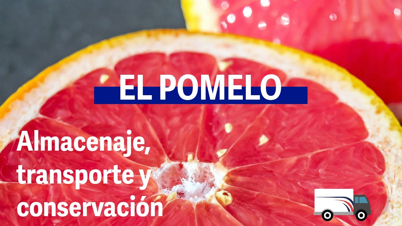 EL POMELO: ALMACENAJE, TRANSPORTE Y CONSERVACIÓN