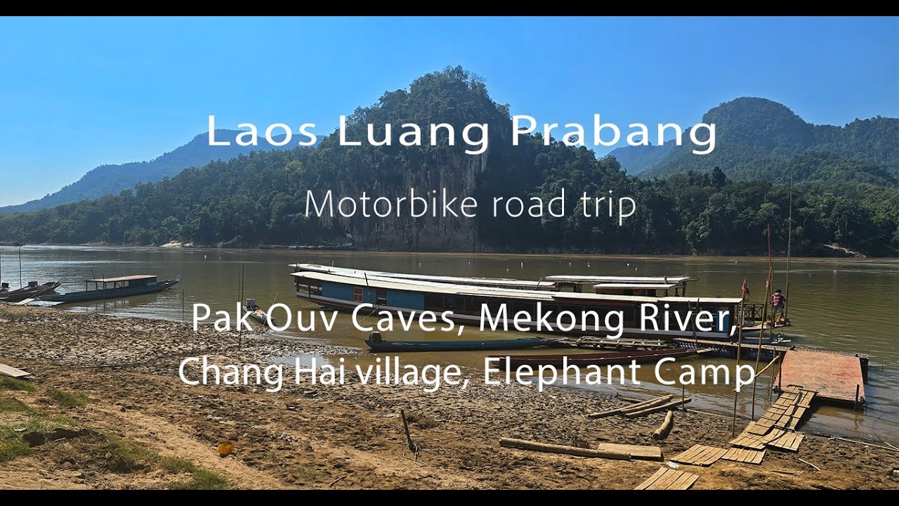 Laos 2024 Luang Prabang - Pak Ouv Caves, Mekong River, Chang Hai village, Elephant Camp