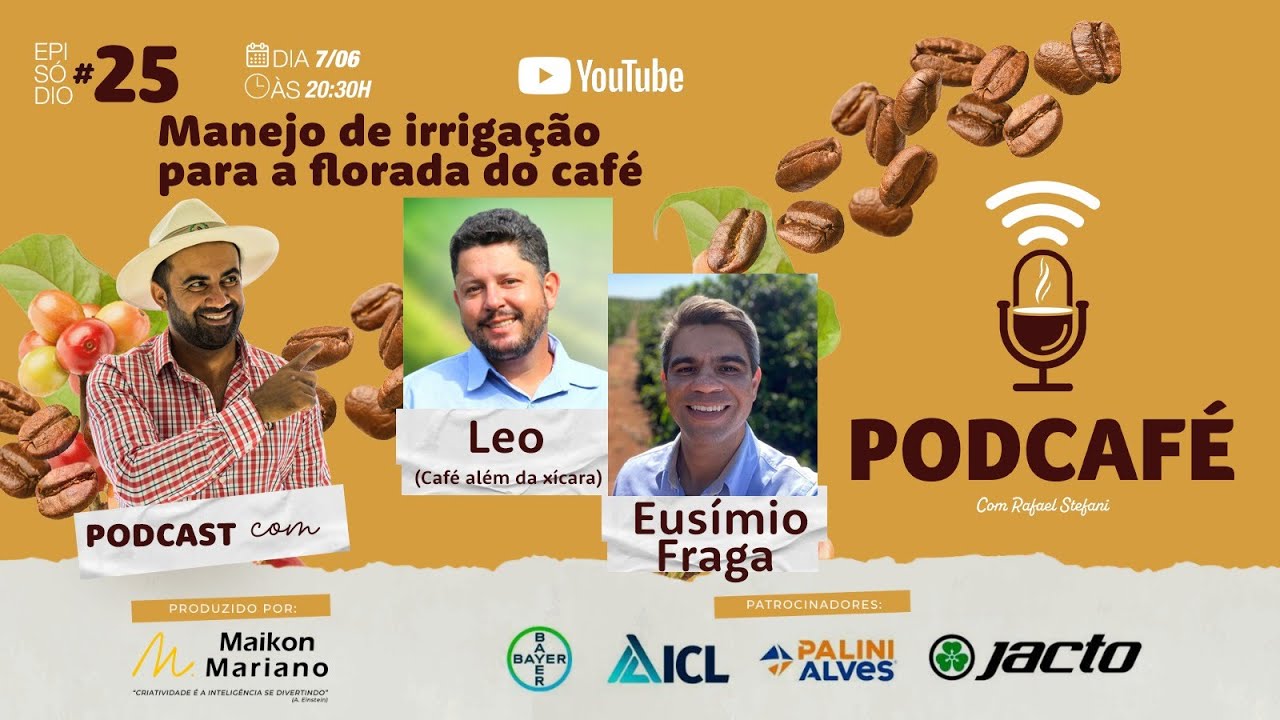 Manejo de irrigação para a florada do café