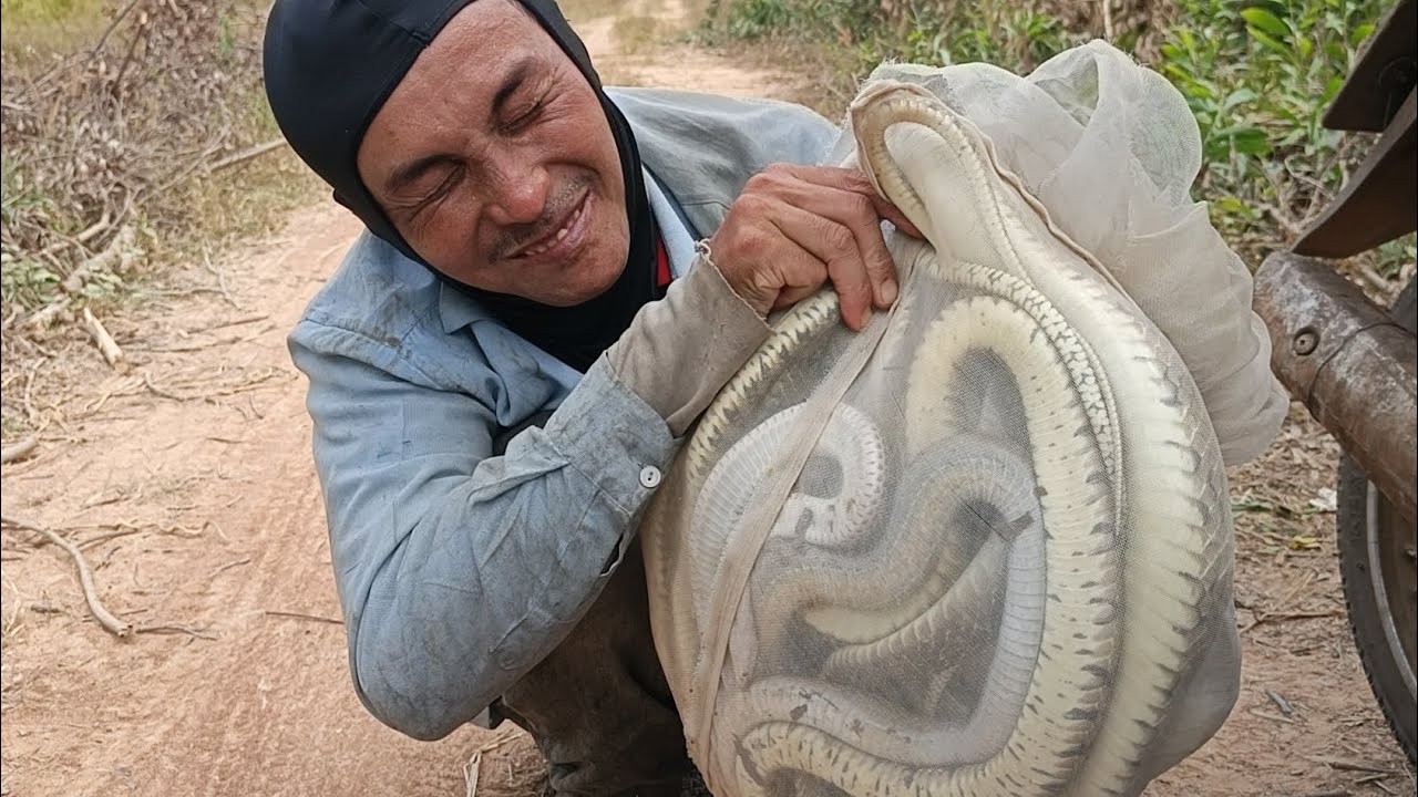Đụng hàng khủng 1,8kg mà cứ nghĩ là 1,4kg/Visit giant snake traps in Vietnam