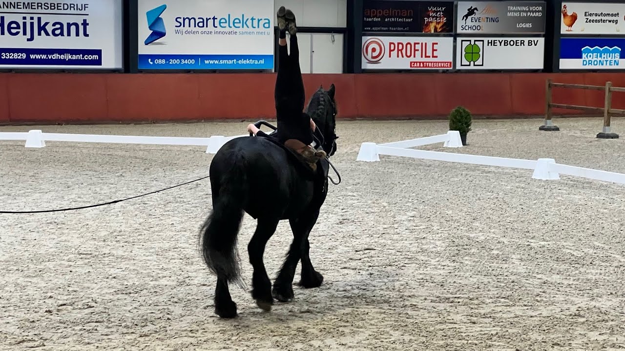 Voltige wedstrijd Dronten BB-stap 26-11-2023, 🥇