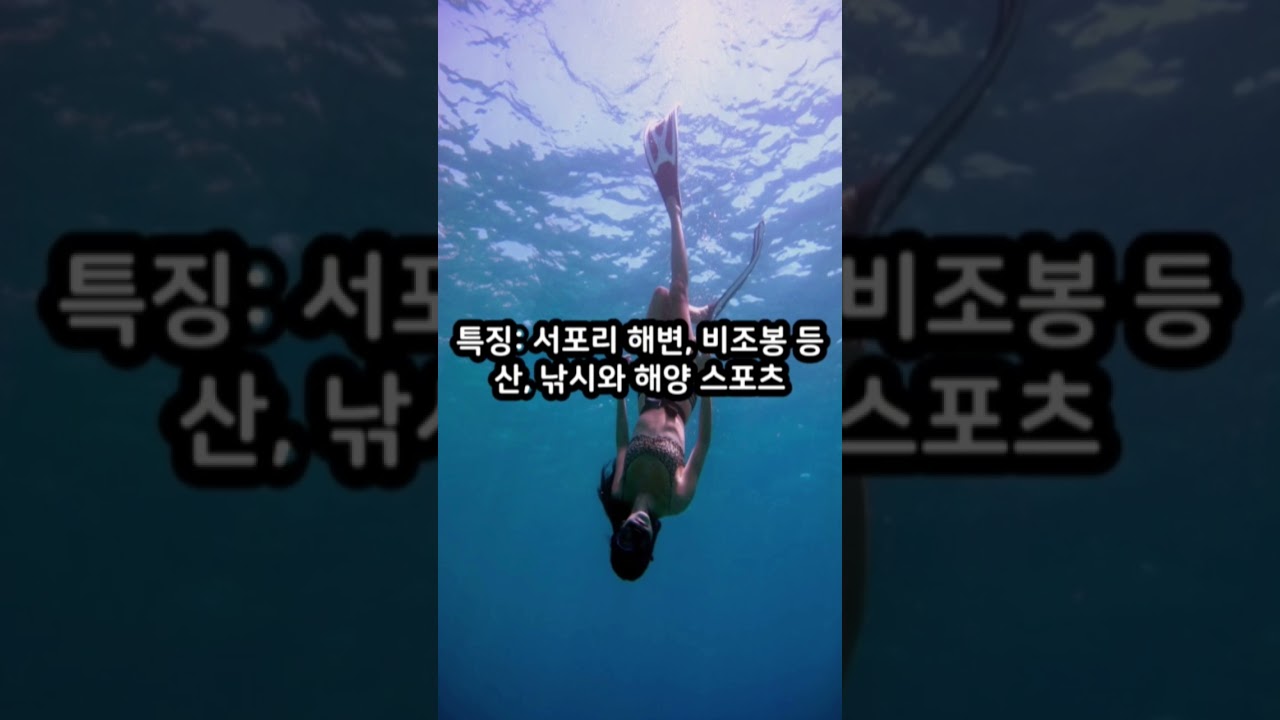 서울근교에서 꼭 가봐야할 섬BEST 5 