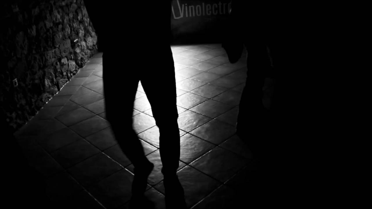 Vinolectro - Weingut Mayerhof (July 15, 2016)