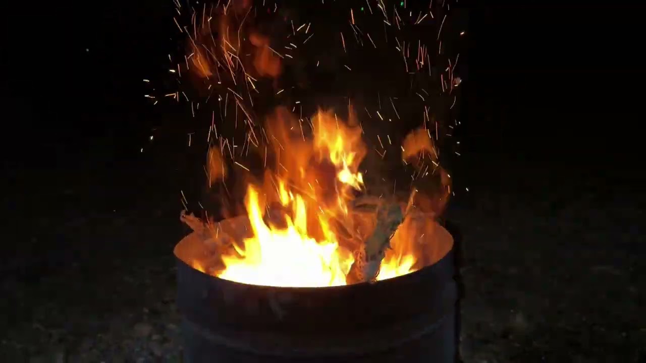 Doua zile de pescuit la Dunare alaturi de prieteni