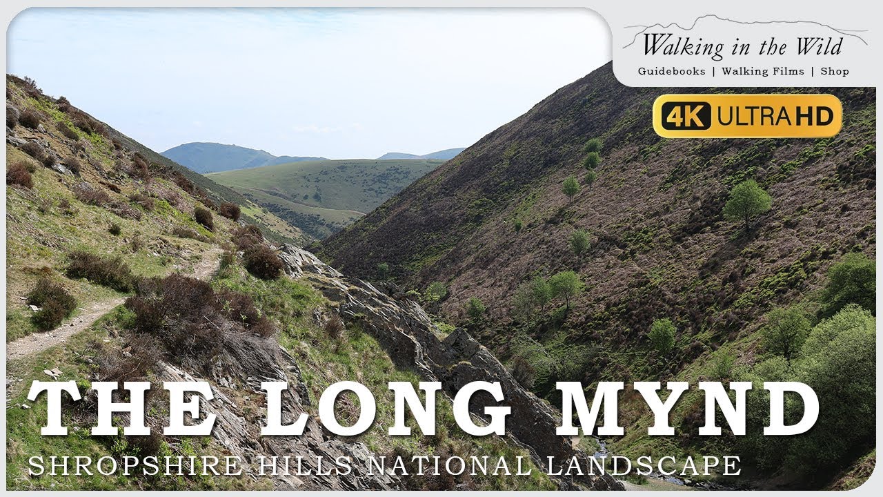 Shropshire Walks: The Long Mynd and Pole Bank