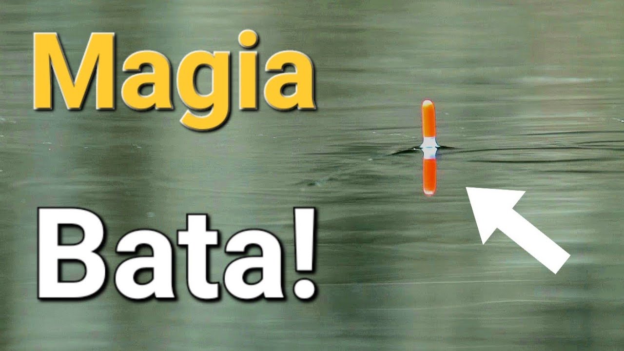 Magia Bata! Uwielbiam Takie łowienie! Wędkarstwo Spławikowe!