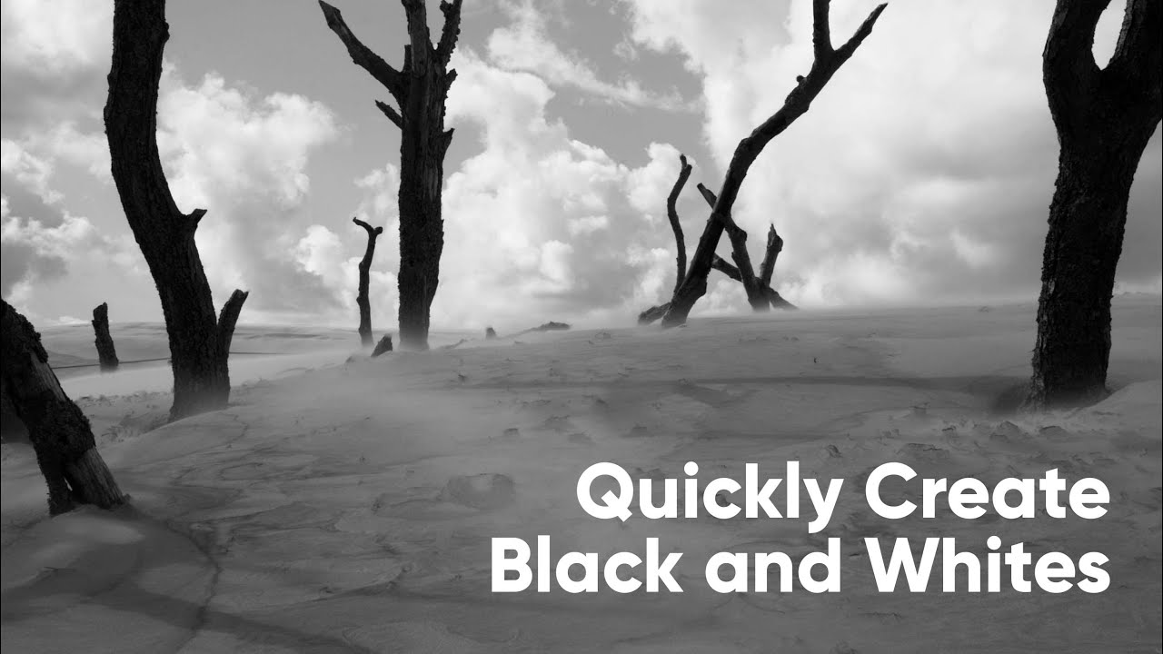 From Color to Classic: Black & White Editing Simplified