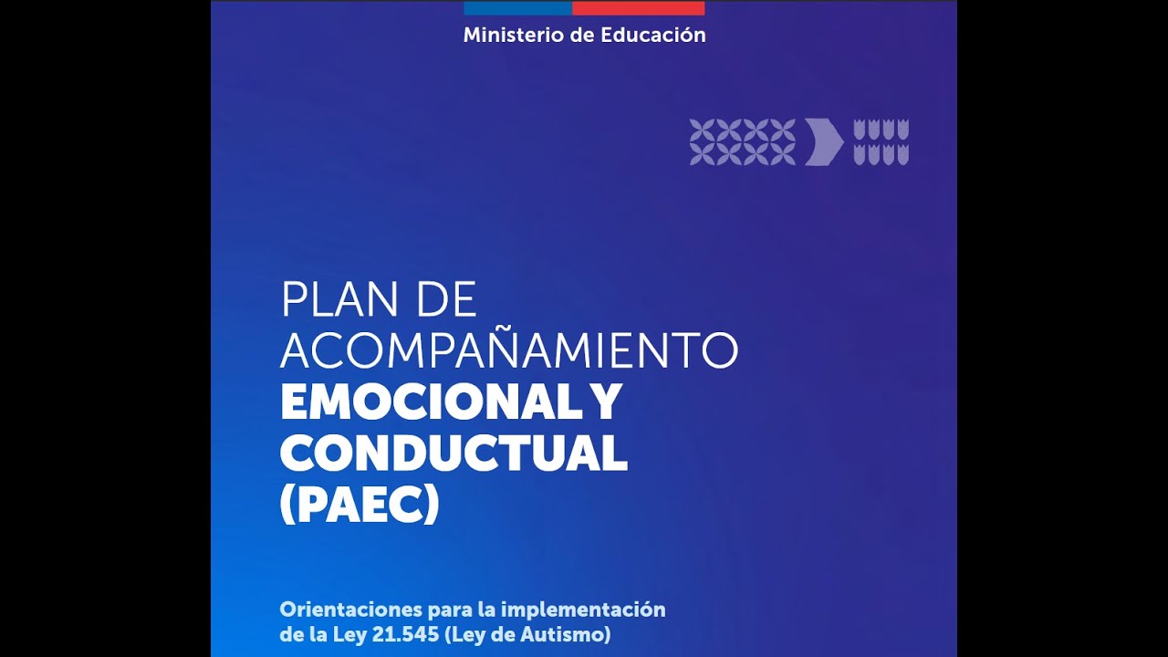 Plan PAEC | Acompa&ntilde;amiento Emocional y Conductual &ndash; Ley TEA 21.545