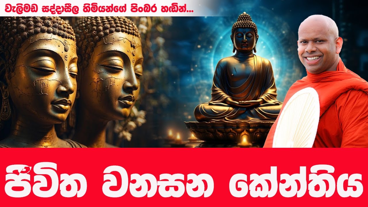 වරදින්න කලින් ජීවිතේ හදාගන්න මේ බණ අනිවාර්යෙන්ම අහන්න | WELIMADA SADDASEELA HIMI