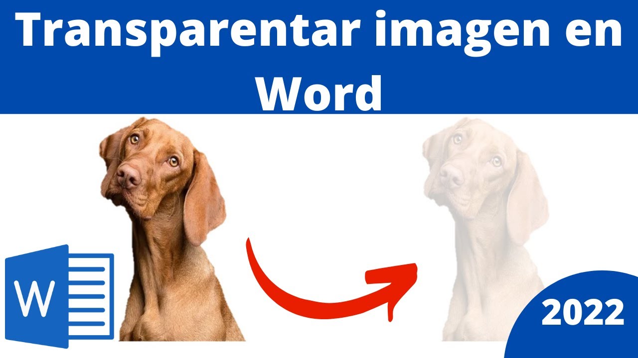 CÓMO TRANSPARENTAR IMAGEN EN WORD