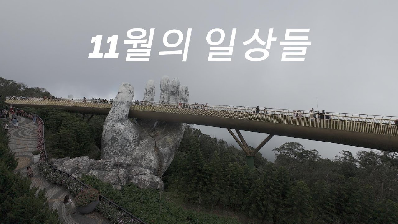 11월의 일상들