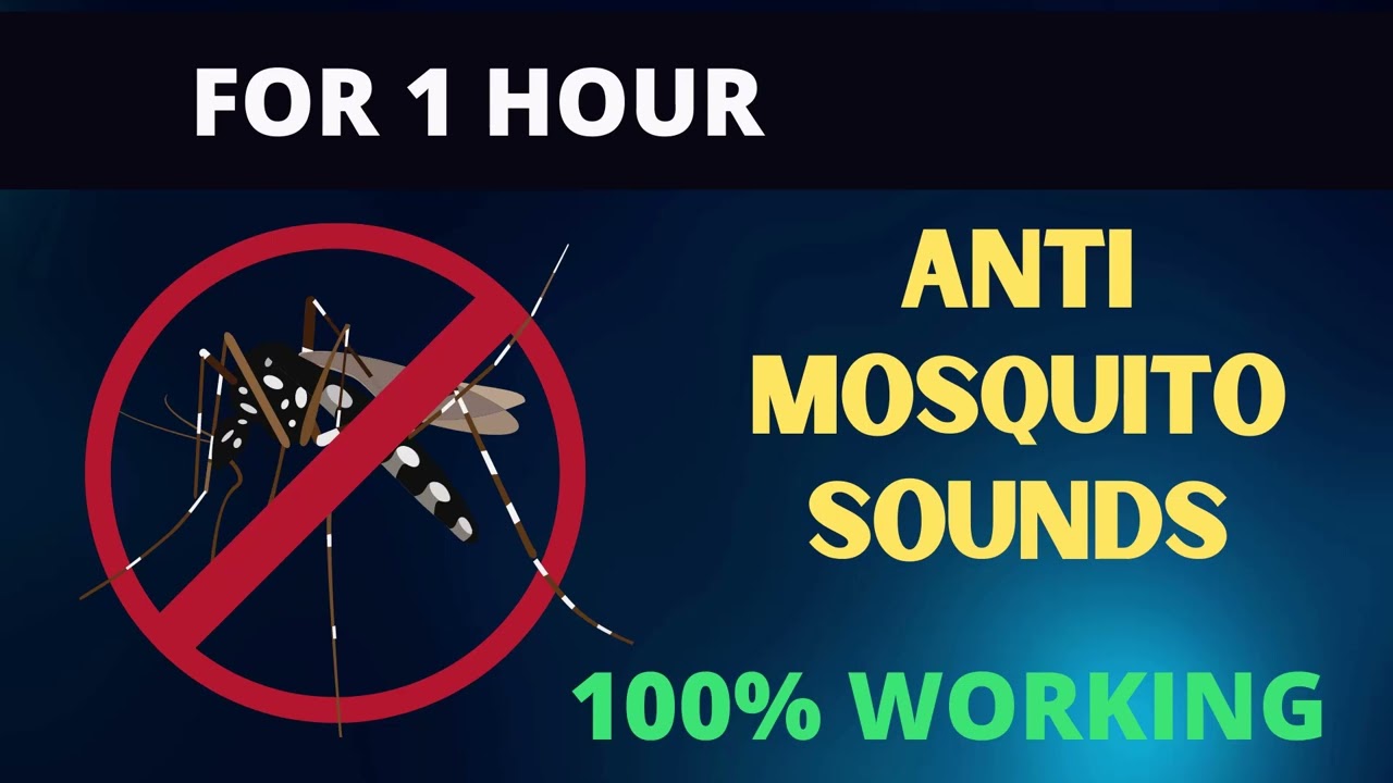 Anti Mosquito Sounds For 1 hour 100% WORKING