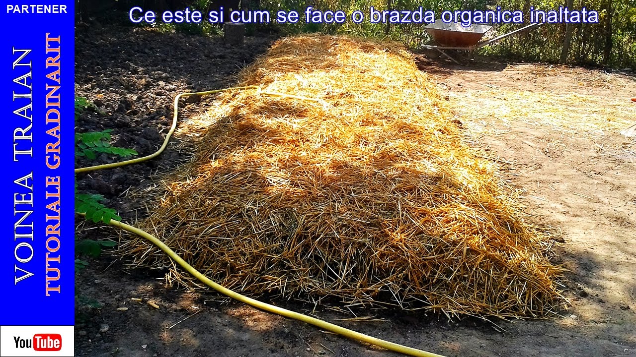 Ce este și cum se face o brazdă organică înălțată