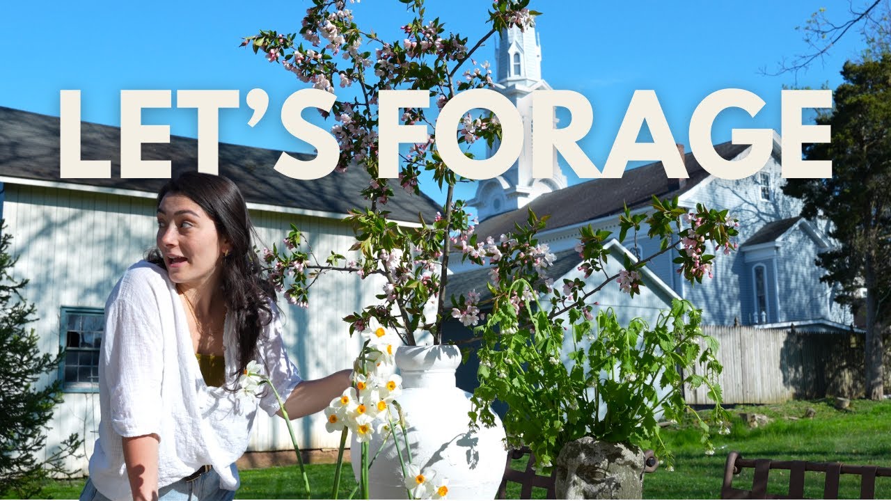 Spring Decor Idea that costs you ZERO $ | Foraging for Branches & Flowers | Arranging Flowers