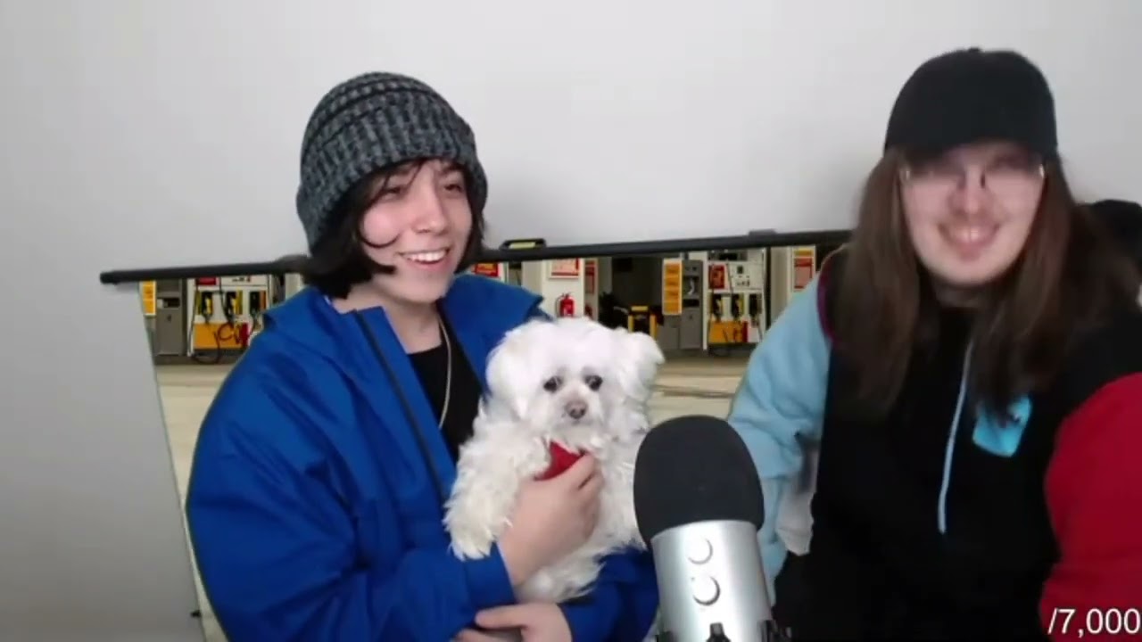 Quackity Meets Rat Properly For The First Time (Quackitys Stream)    #quackity #badboyhalo