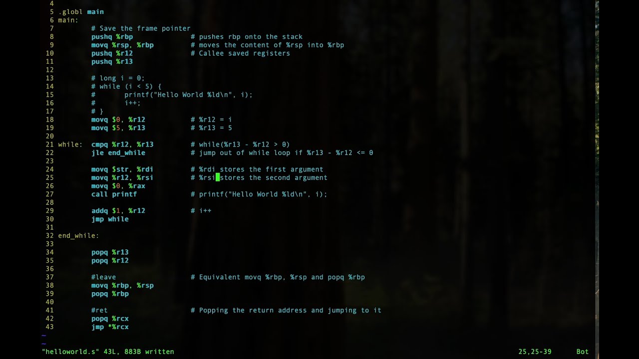 Explanation of Basic x86-64 Assembly Programming Techniques