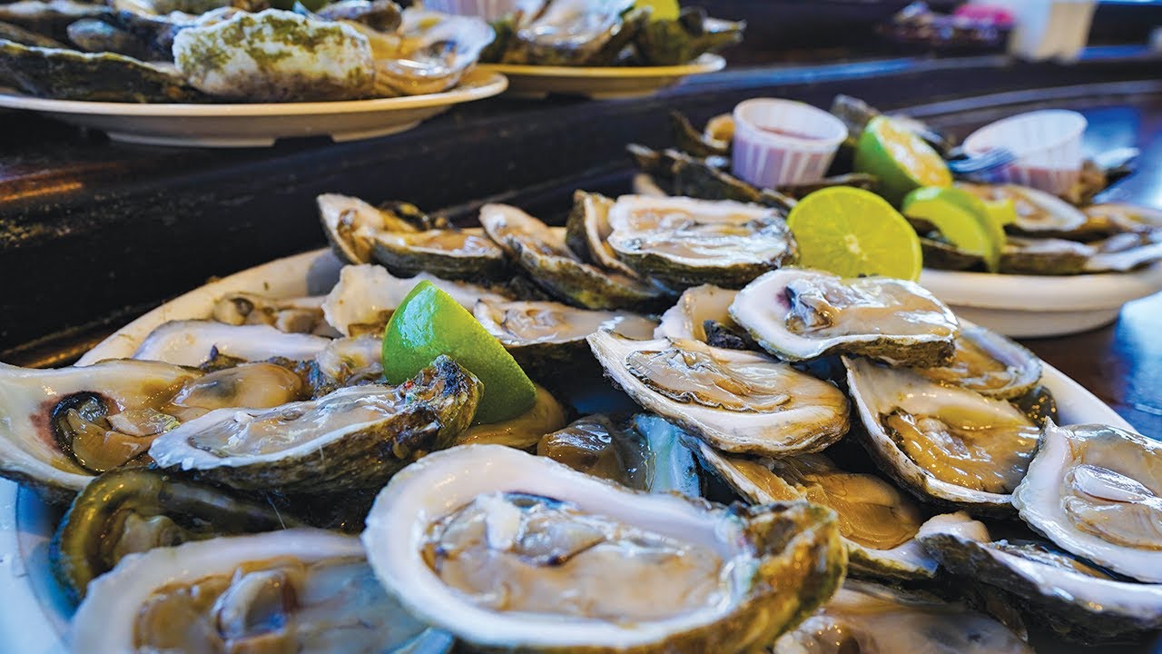 I Attempted To Eat Over 100 Oysters