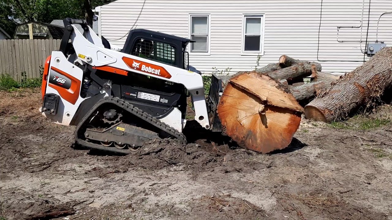 Loading Massive Oak Logs With Bobcat T66