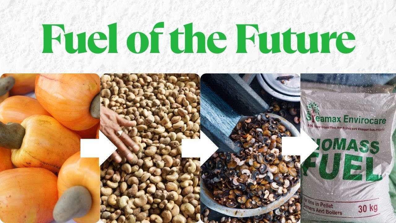 Astillas-Turning Cashew Shells into Clean Energy |  Journey of Astillas Biomass Fuel | Steamax India